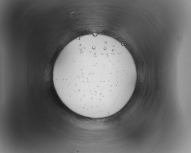 X0000088680032200706281951