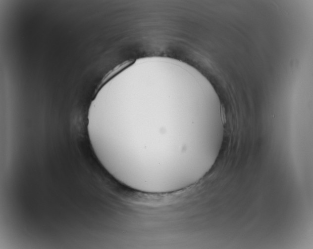 X0000088680037200706281951