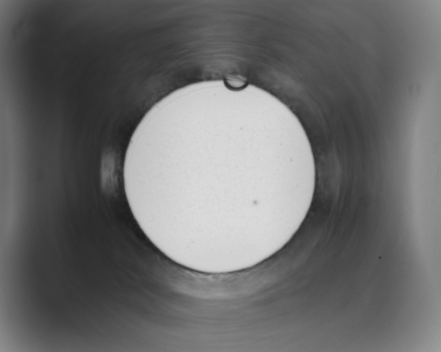 X0000088680038200706281951