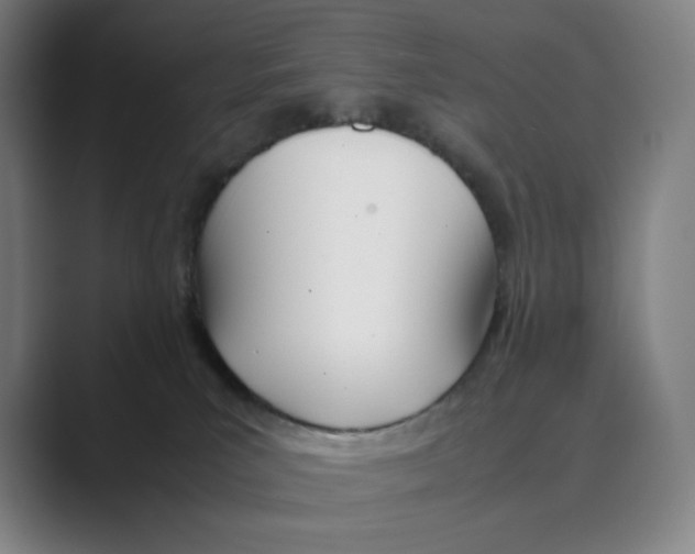 X0000088680039200706281951