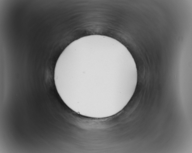 X0000088680040200706281951