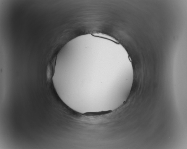 X0000088680041200706281951