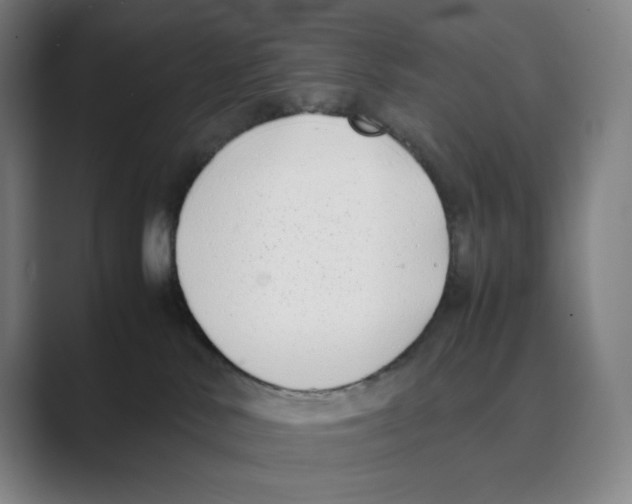 X0000088680042200706281951