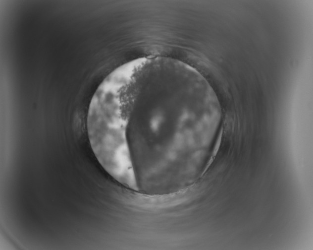 X0000088680043200706281951