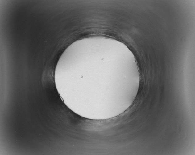 X0000088680045200706281951