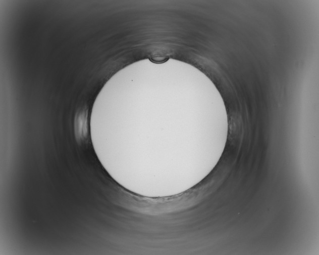 X0000088680046200706281951