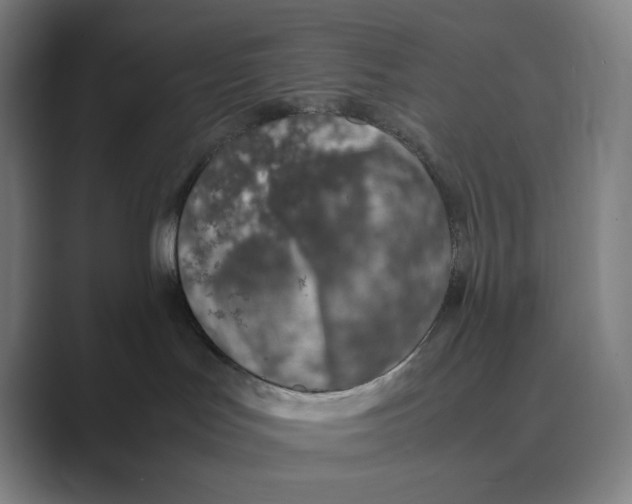 X0000088680047200706281951