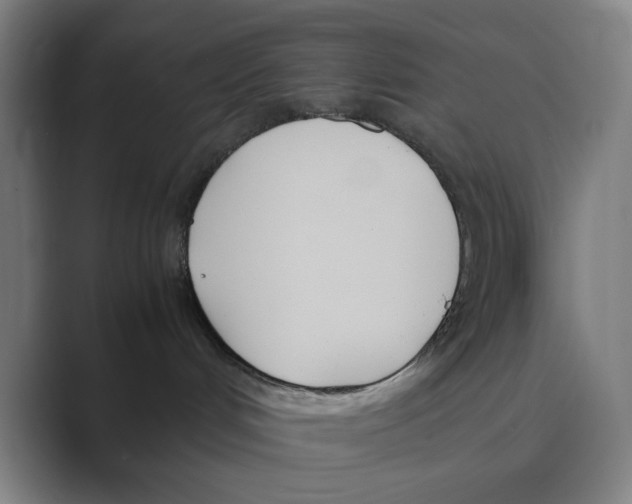 X0000088680048200706281951