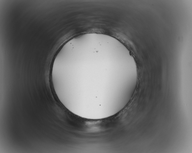 X0000088680051200706281950