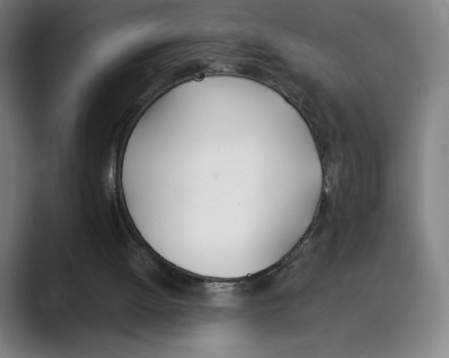 X0000088680052200706281950