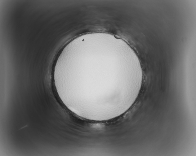 X0000088680053200706281950