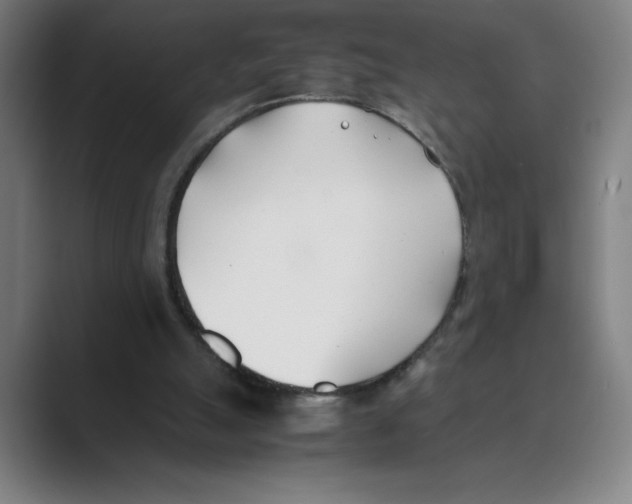 X0000088680055200706281950