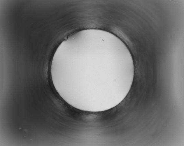 X0000088680058200706281950