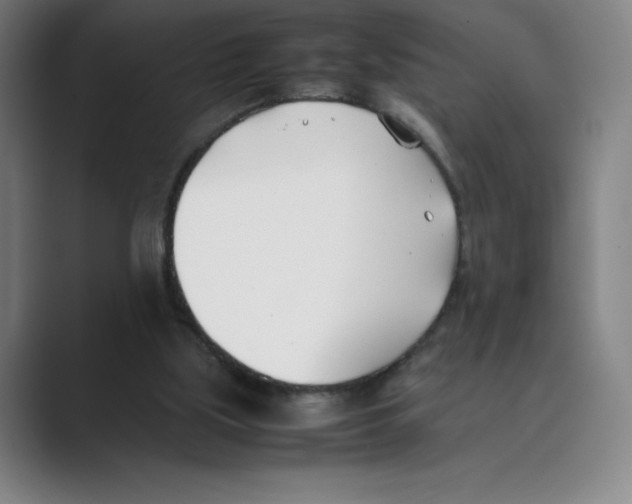 X0000088680059200706281950