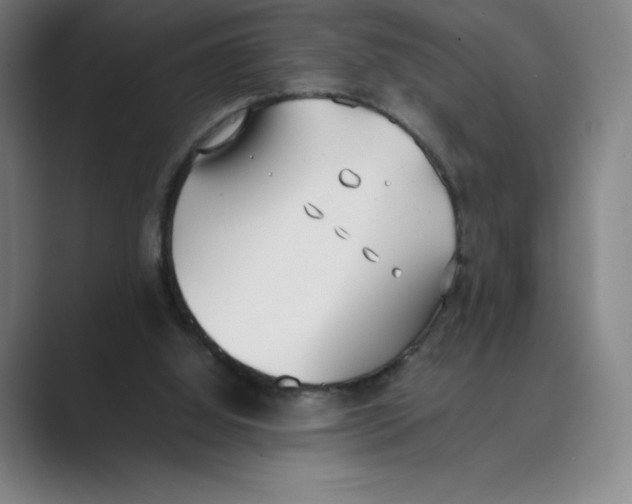 X0000088680060200706281950