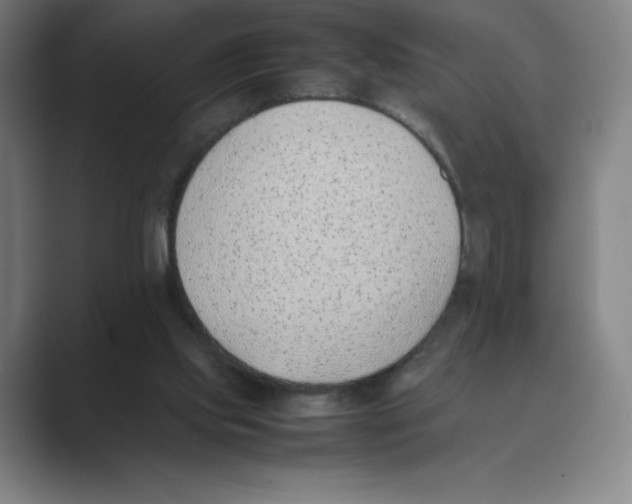 X0000088680061200706281950