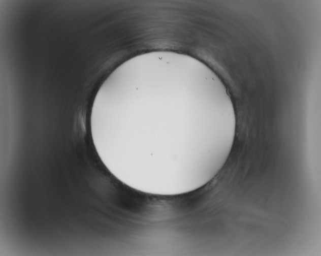 X0000088680062200706281950