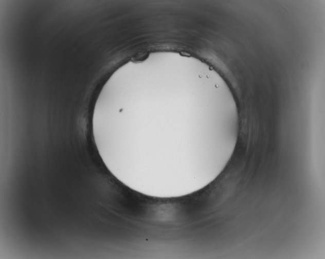 X0000088680063200706281950