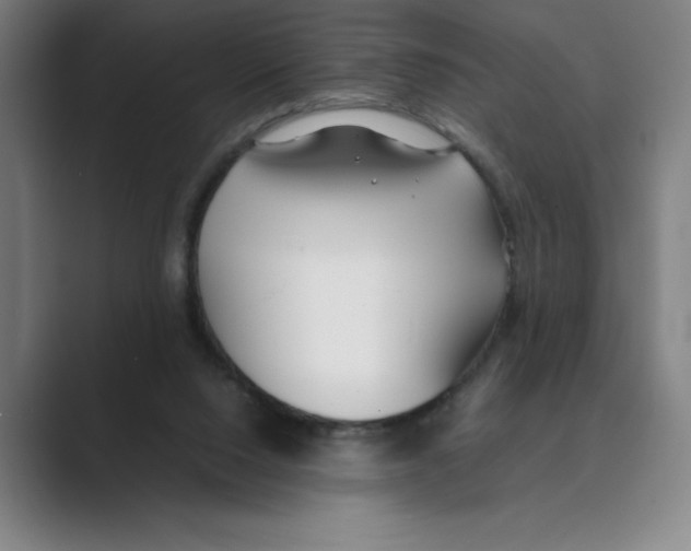 X0000088680064200706281950