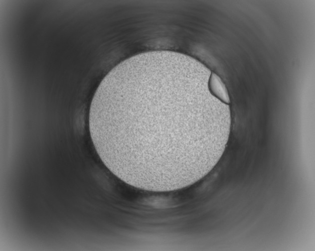 X0000088680065200706281950