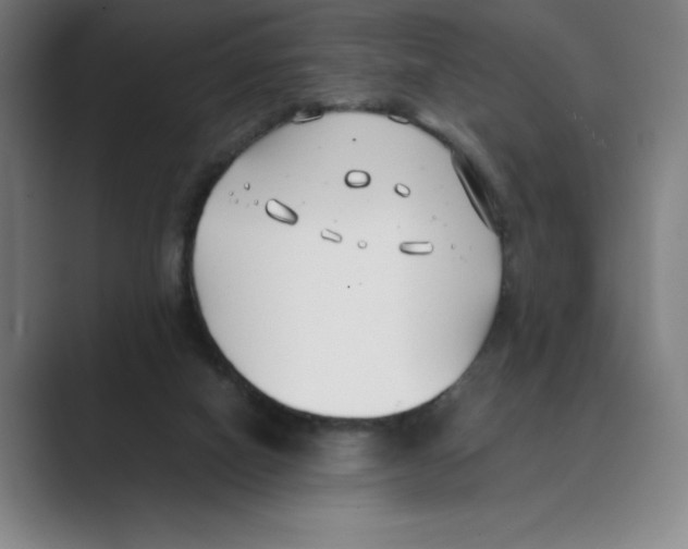 X0000088680066200706281950