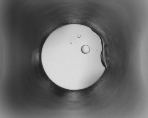 X0000088680067200706281951