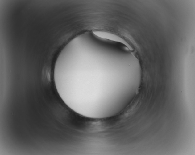 X0000088680068200706281951