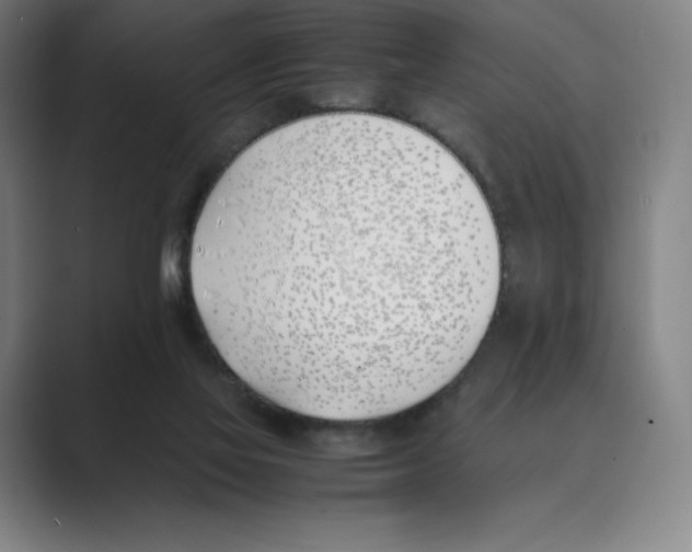 X0000088680069200706281951