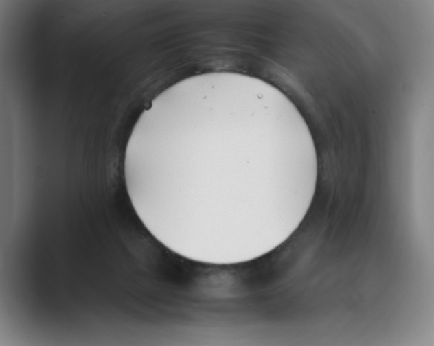 X0000088680073200706281951