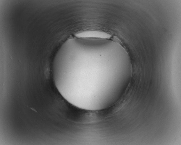 X0000088680080200706281951