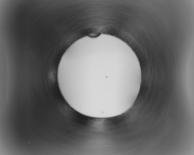 X0000088680090200706281951