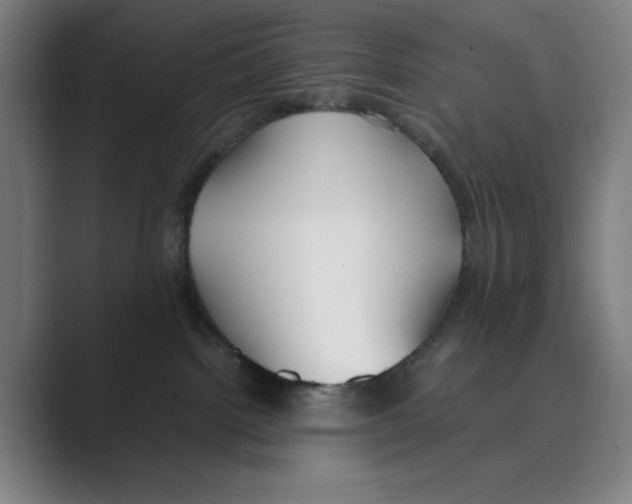 X0000088680092200706281951