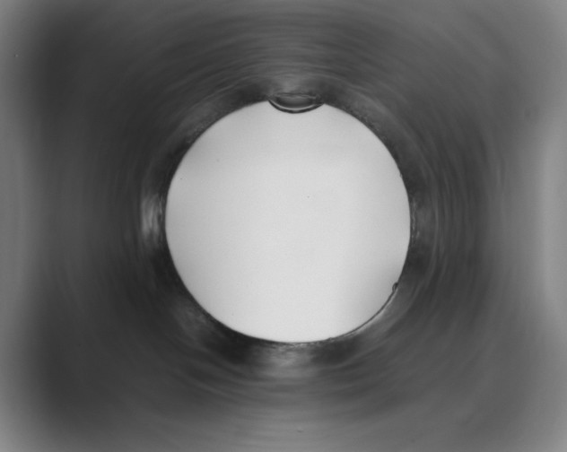 X0000088680094200706281951