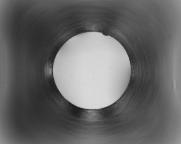 X0000088680095200706281951