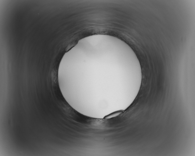 X0000088680096200706281951