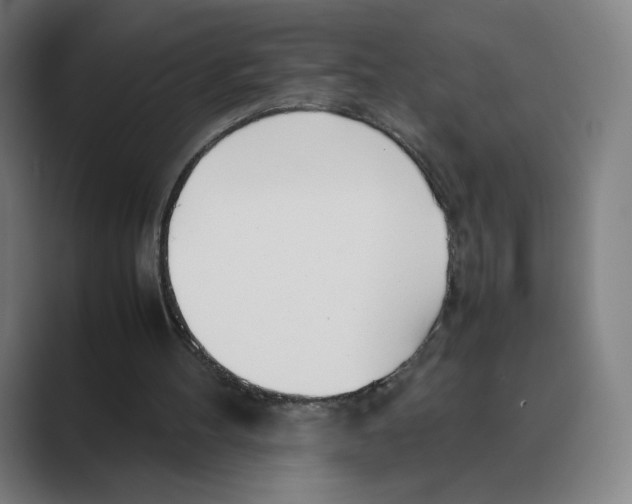 X0000088680100200706281950