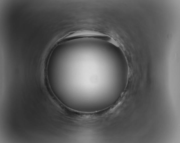 X0000088680101200706281950