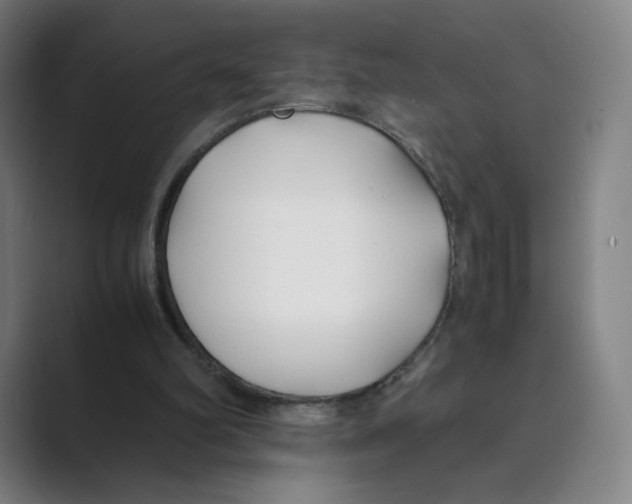 X0000088680102200706281950