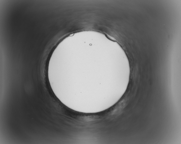 X0000088680103200706281950