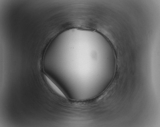 X0000088680105200706281950