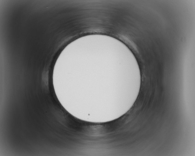 X0000088680108200706281950