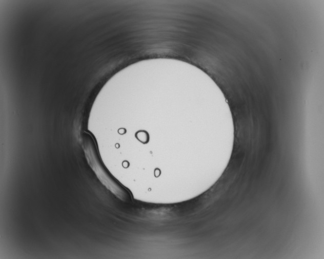 X0000088680112200706281950