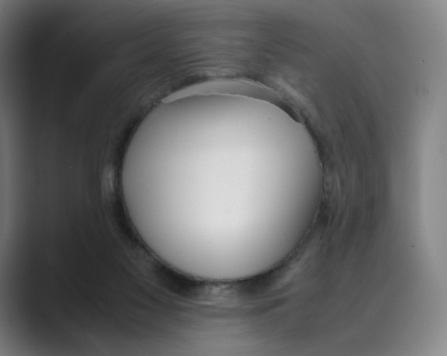 X0000088680117200706281950