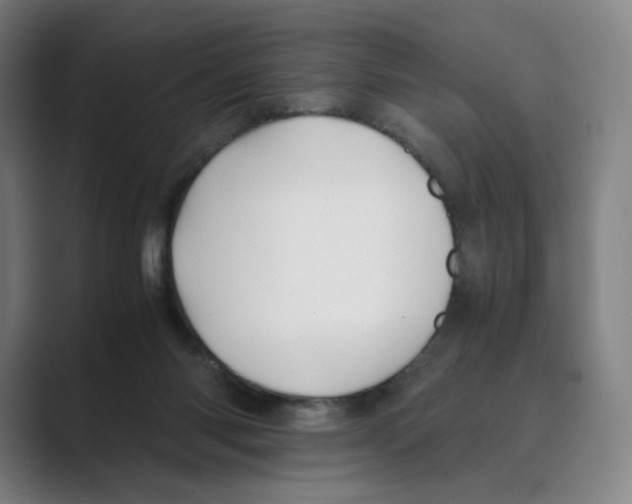 X0000088680118200706281950