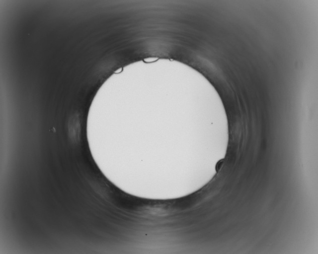 X0000088680120200706281950