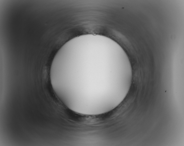 X0000088680121200706281950