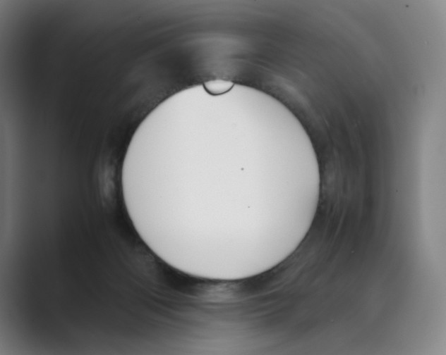 X0000088680122200706281950