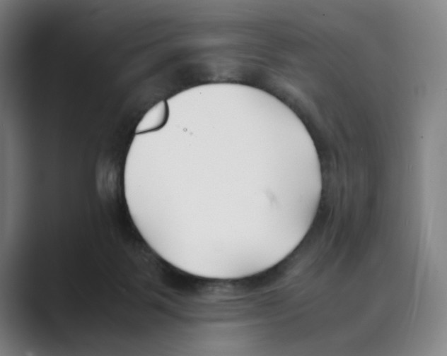 X0000088680123200706281950