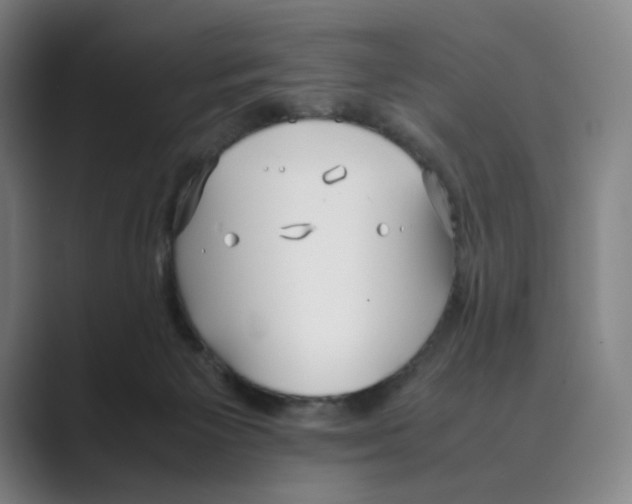 X0000088680125200706281950