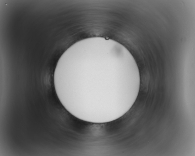 X0000088680126200706281950